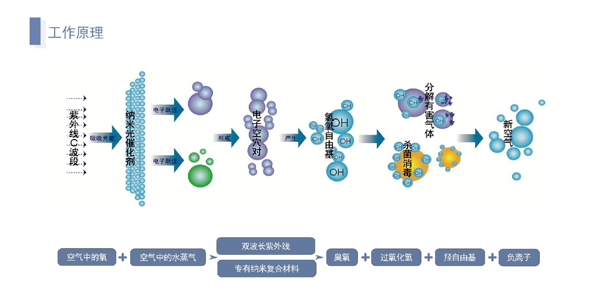 卓魯--6_05.jpg