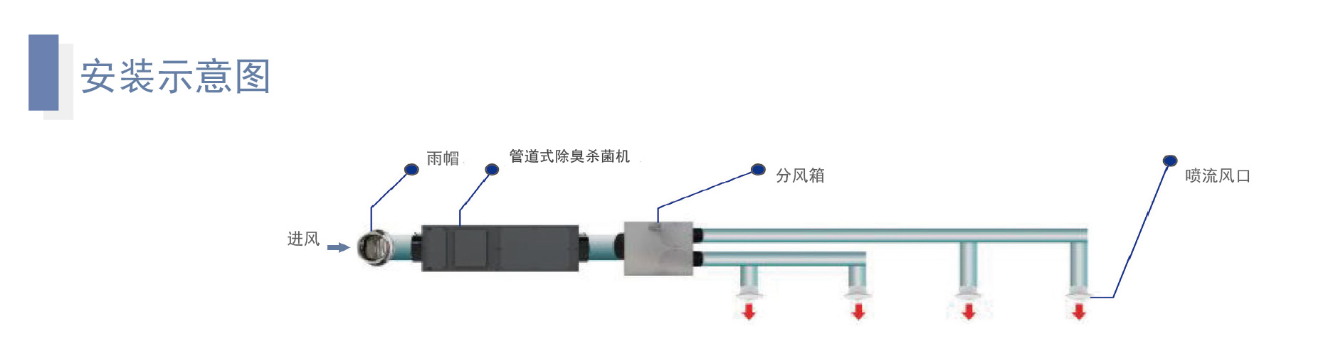 卓魯--10_11.jpg