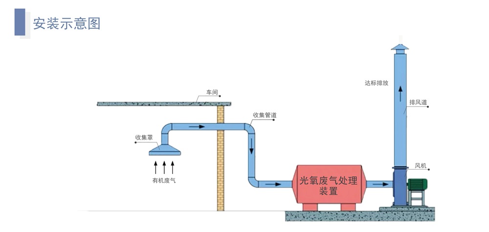 卓魯--12_13.jpg